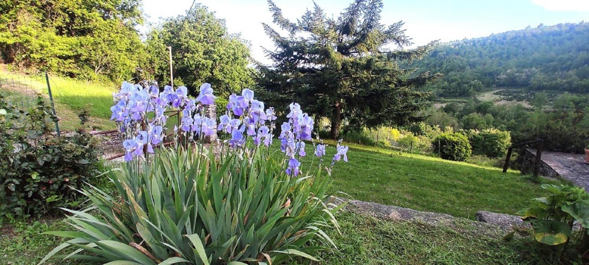 Casa Titina Riposo E Relax Nella Campagna Toscana Pratovecchio Exterior foto